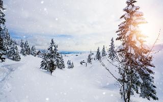 5 Best Places In India To Enjoy Scenic Beauty Of Snowfall In December 2023