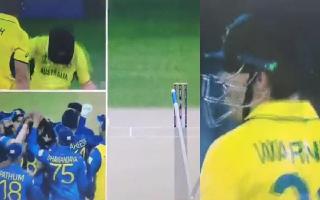 AUS vs SL: David Warner Left Fuming; Smashes Bat, Gives Mouthful After LBW Dismissal | Watch