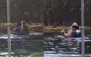 man-romantic-dance-with-crocodile-leaves-netizens-divided-people-dub-it-disney-movie-plot-viral-video