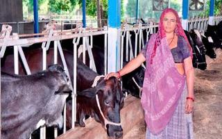meet-navalben-dalsangbhai-chaudhary-62-yearold-who-built-a-dairy-business-churning-rs-1-crore-yearly-profit