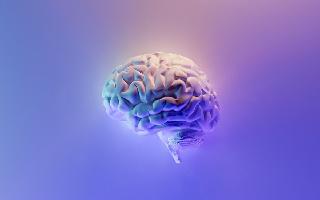 israel-ai-program-detects-bleeding-inside-brain-during-ct-scan-helps-save-patient-life-full-story