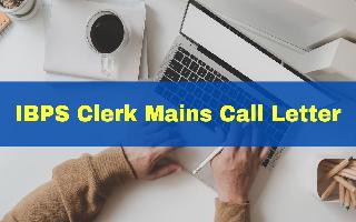ibps-clerk-mains-call-letter-released-at-ibps-in-get-direct-link-here