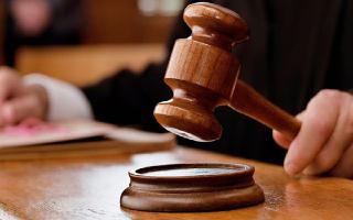 Karnataka HC Calls For Bringing Minimum Age Limit For Social Media Usage In India