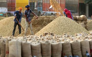 Paddy Procurement In UP: Things Farmers Should Know To Get Benefit Of MSP