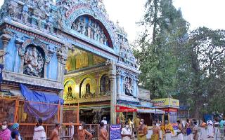 Breaking Gender Barriers, Three Women To Become Temple Priests In Tamil Nadu