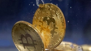 Uttarakhand Resident Arrested By ED; Over 8,000 Bitcoins Linked To Drug Trafficking Uncovered
