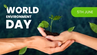 Happy World Environment Day 2024: Wishes, Messages, Quotes, WhatsApp And Facebook Status To Share On This Day