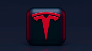 'Ultimately Rose To Lead...': Elon Musk To Indian-Origin Man Who Was First To Join Autopilot Team At Tesla