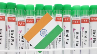 Bird Flu In India: Four-Year-Old Tests Positive For H9N2 Virus In Kolkata, First Case Since 2019