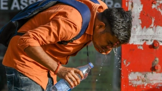 Heatwave Continues To Affect Several States In North India, Himachal Records Highest Ever Temperature; 13 Killed In Bihar
