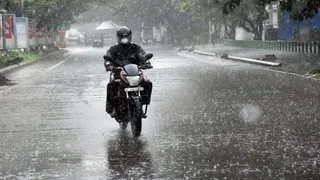 Kerala Weather: Several Houses Damaged, Trees Uprooted After Heavy Rains; Check Forecast