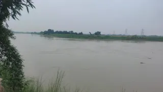 Bihar Flood: Water Level Of Kosi, Bagmati Rivers Rising Amid Rain; THESE Districts Under Flood Alert