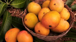 Benefits Of Eating Mangoes: Combating Cancer To Better Digestion; 5 Reasons To Eat Mangoes After Meals