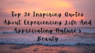 Top 20 Inspiring Quotes About Experiencing Life And Appreciating Nature's Beauty