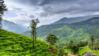 Top 5 Must-Visit Destinations For The Monsoon Season In India