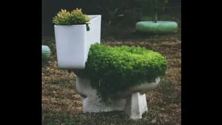 Instagram Video Shows Joint Commode DIY For Couple To Poop Together | Internet Is Speechless