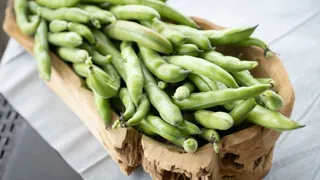 Managing Parkinson To Boosting Immunity: 5 Incredible Benefits Of Adding Fava Beans In Your Diet