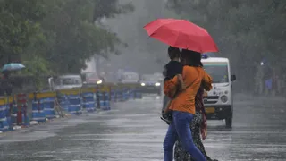 Monsoon Update: Bihar, Bengal To See Intense Rainfall In Upcoming Weeks, IMD Predicts Scattered Showers For Parts Of South India | Check State-Wise Forecast