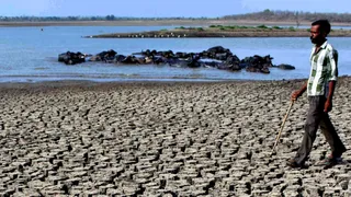 Maharashtra: 430 Farmers Suicides In First Six Months Of June In Parched Marathwada, Highest In Beed