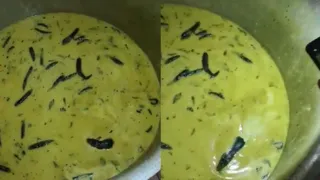 University Students Find Live Rat In Chutney Served In Mess; Viral Video Sparks Outrage