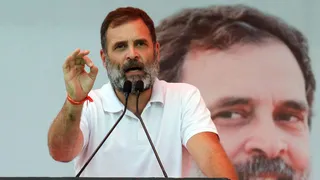 BJP MLA Booked For Remarks Against Congress Leader Rahul Gandhi