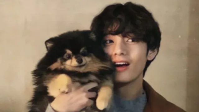 bts-v-misses-pet-dog-yeontan-during-military-service-gives-shoutout-to-asia-chow-new-single-photo