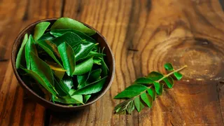 Benefits Of Kadi Patta: 5 Surprising Ways In Which This Herb Promotes Optimal Health