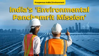 Balancing Economic Growth With Environmental Protection: Focus On Sustainable Development And Increasing Green Cover
