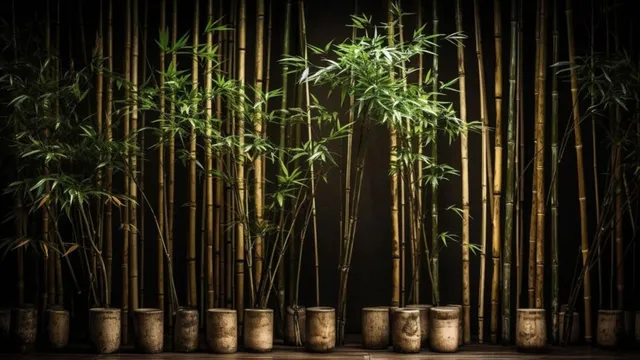 5-vastu-tips-to-place-lucky-bamboo-according-to-vastu-shastra-for-success-and-wealth