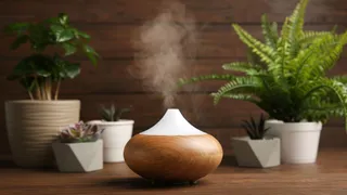 Use These 5 Essential Oils To Keep Your Room Fresh And Smell Good In Monsoon