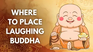 5-best-areas-to-place-laughing-buddha-for-wealth-and-prosperity-as-per-vastu-shastra