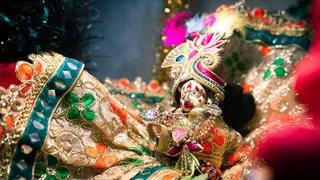 Krishna Janmashtami 2024: Short And Long Essay For School Morning Assembly In English