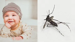 Expert Lists Safe And Effective Methods To Protect Your Baby From Mosquitoes