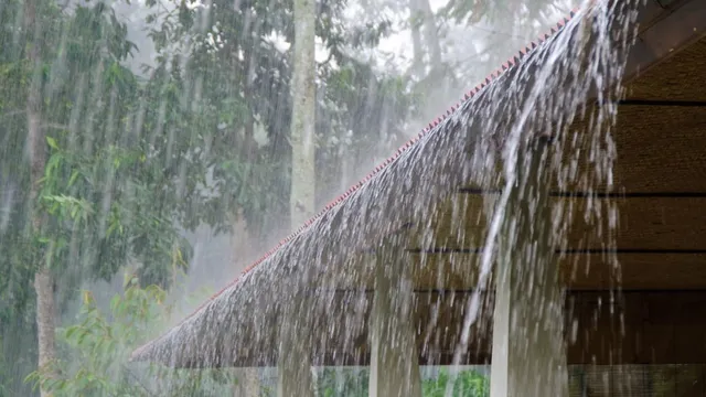 himachal-weather-shimla-rains-imd-yellow-alert-for-various-parts-of-himachal-pradesh-weather-forecast