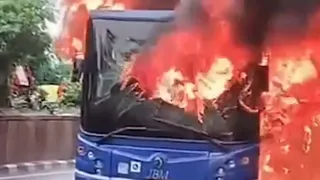 delhi-dtc-bus-fire-jagatpuri-injuries-casualties-rescue-operations-latest-news