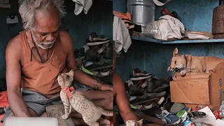 Bengaluru Cobbler Leaves Internet Emotional By Turning His Tiny Shop Into Shelter For Animals | Viral Video