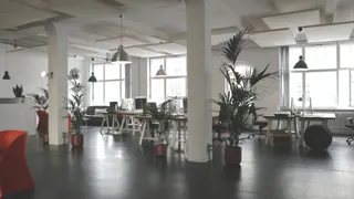 EY Pune CA Death: Furious Netizens Bash ‘Toxic Work Culture’ As More Employee POVs Go Viral