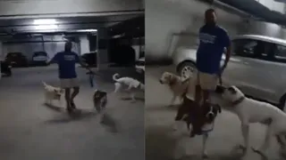 Noida Society Security Guard, Resident Oppose Man For Walking Dogs Without Muzzle; Internet Says ‘Unnecessary Dog Phobia’ | Viral Video