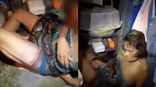 4-Meter-Long Python Strangles Woman For Almost 2 Hours; Victim Gets Rescued After Suffering Multiple Bites | Viral Video
