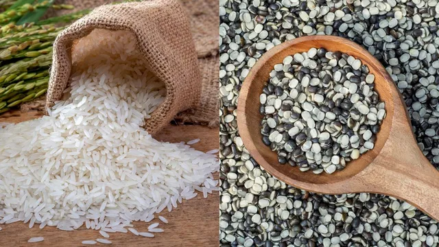 shradh-2024-why-urad-dal-and-rice-are-used-for-ancestor-worship-during-pitru-paksha