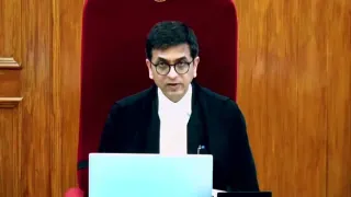 ‘Allergic To People Saying Yeah’: CJI Chandrachud Reminds Petitioner Of Court Decorum