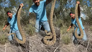Man Handles Huge Rattlesnake With Bare Hands; Unimpressed Netizens Warn Against Stunt | Viral Video