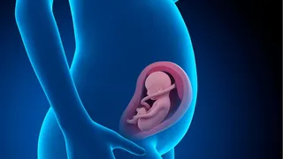 breast-cancer-awareness-month-can-breast-cancer-affect-foetus-know-from-expert