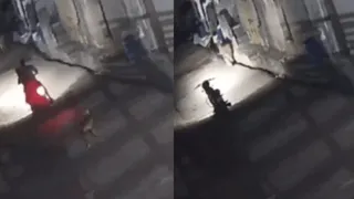 CCTV Video Of Bikers, Stray Dog Running Away After Spotting Lion At Residential Area Leaves Internet ROFLing | WATCH