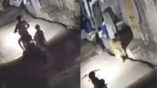 Gujarat Couple Encounters Lion During Night Ride In Somnath, CCTV Footage Goes Viral | Watch