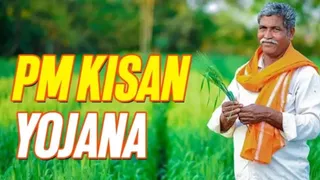 PM Kisan Yojana: Work On UP Farmer Registry App Delayed, Leaving Farmers Into Uncertainty