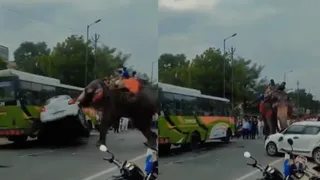 Viral Video Of Elephant Aggressively Attacking Car Like Common Toy Leaves Internet Horrified | WATCH