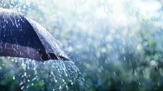 Telangana Weather: Hyderabad, 23 Other Districts Likely To Witness Rain Today; Check IMD Forecast