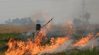 Stubble Burning: SC Tears Into Punjab, Haryana Govt Over 'Complete Defiance' As Air Quality Dips