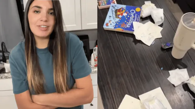 17-diapers-mom-tiktok-trend-takes-over-internet-disgusted-netizens-react-to-diaper-pile-at-womans-home-viral-video
